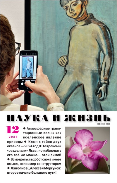 NZH-202412 Наука и Жизнь 2024 №12