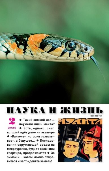 NZH-202502 Наука и Жизнь 2025 №2