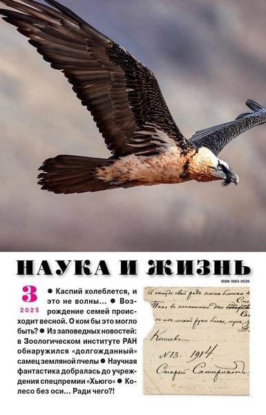 NZH-202503 Наука и Жизнь 2025 №3